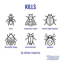 TERRO® Outdoor Ant Killer Spray