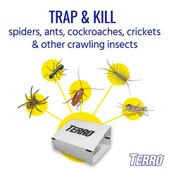 TERRO® Spider & Insect Trap 10-Pack