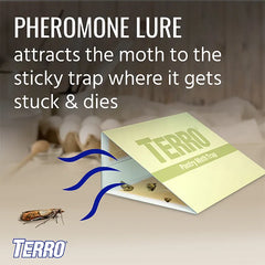 TERRO® Pantry Moth Traps