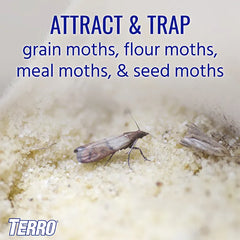 TERRO® Pantry Moth Traps