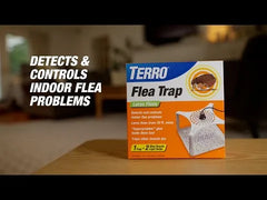 TERRO® Refillable Flea Trap